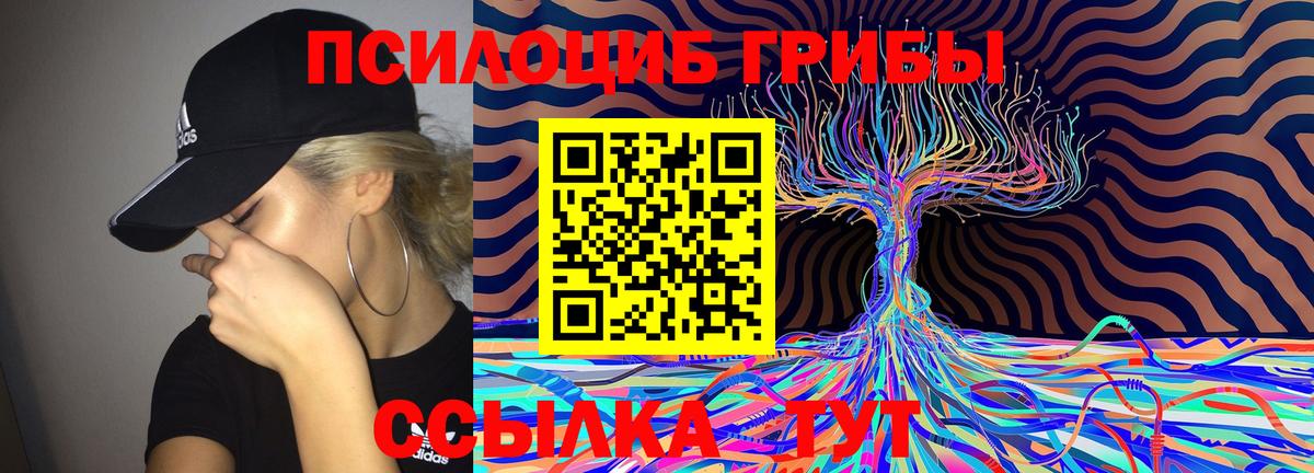 Псилоцибиновые грибы MAGIC MUSHROOMS  Галлюциногенные грибы мухоморы  Саки  наркота  Вход с VPN 